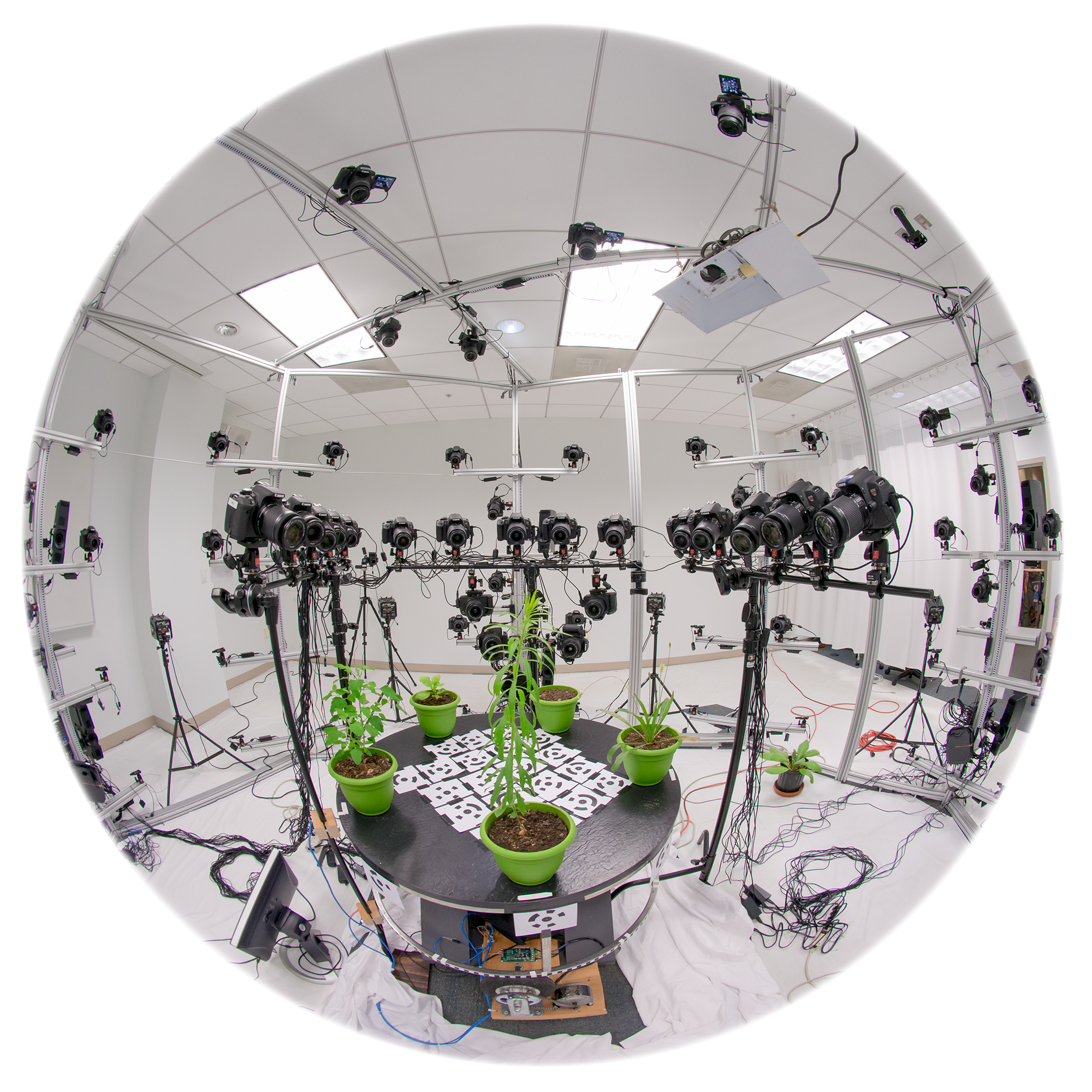 A fish-eye photograph of plants being set up in the Photogrammetry rig.